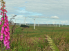 crystal-rig-ii-wind-farm-scottish-borders
